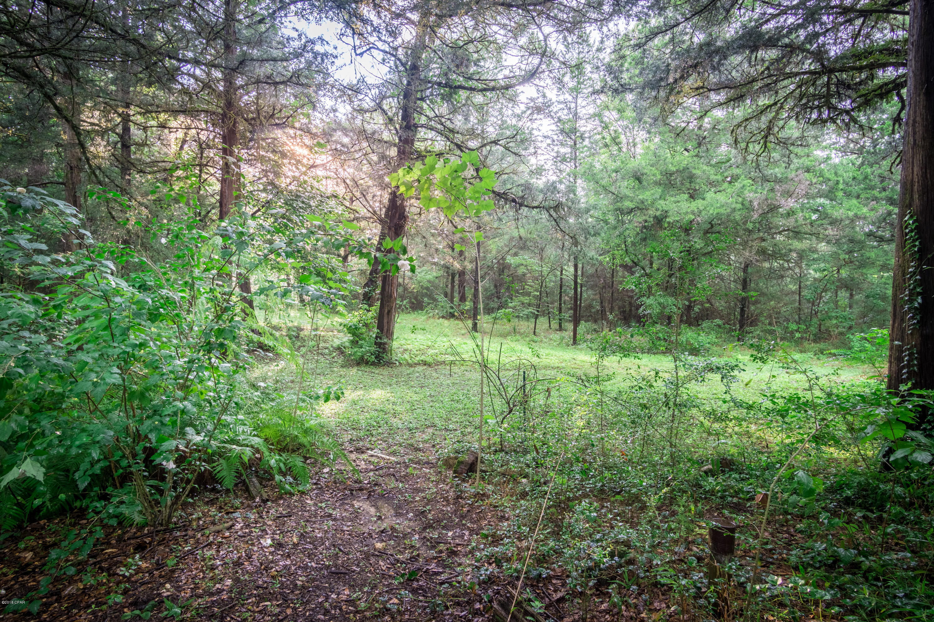 Piney Grove - Residential