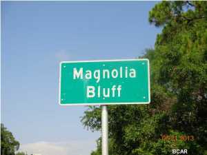 Magnolia Bluff - Land