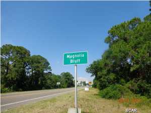Magnolia Bluff - Land