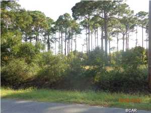 Magnolia Bluff - Land