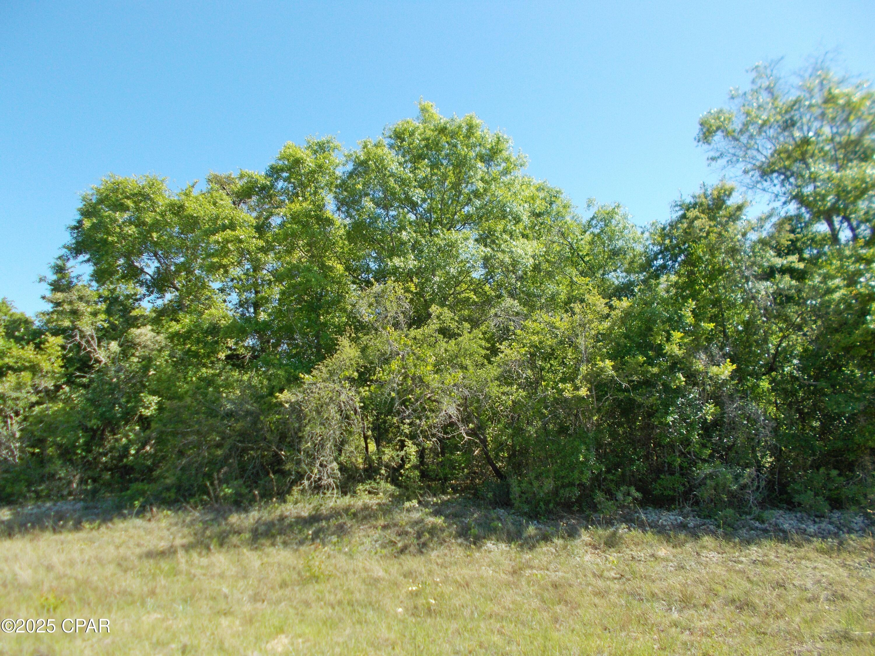 Sunny Hills Unit 8 - Land