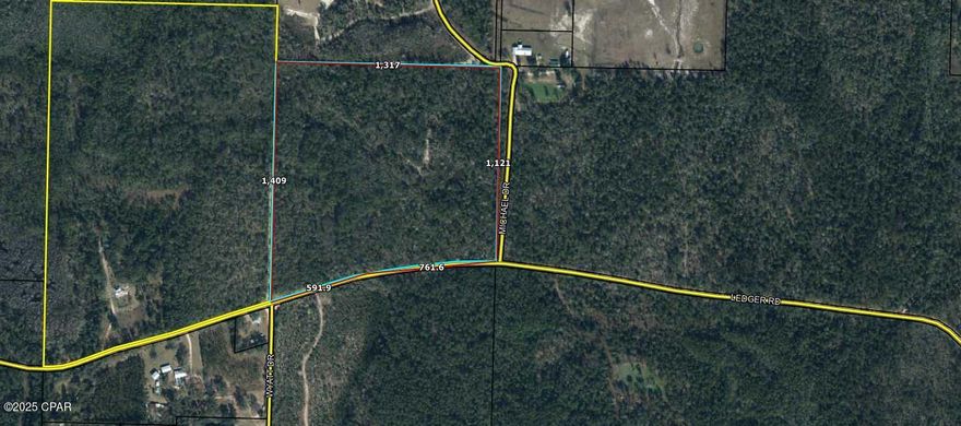 40 acres off Ledger 
road.  No restrictions!  Build your new home with still plenty of room for a farm or ranch!