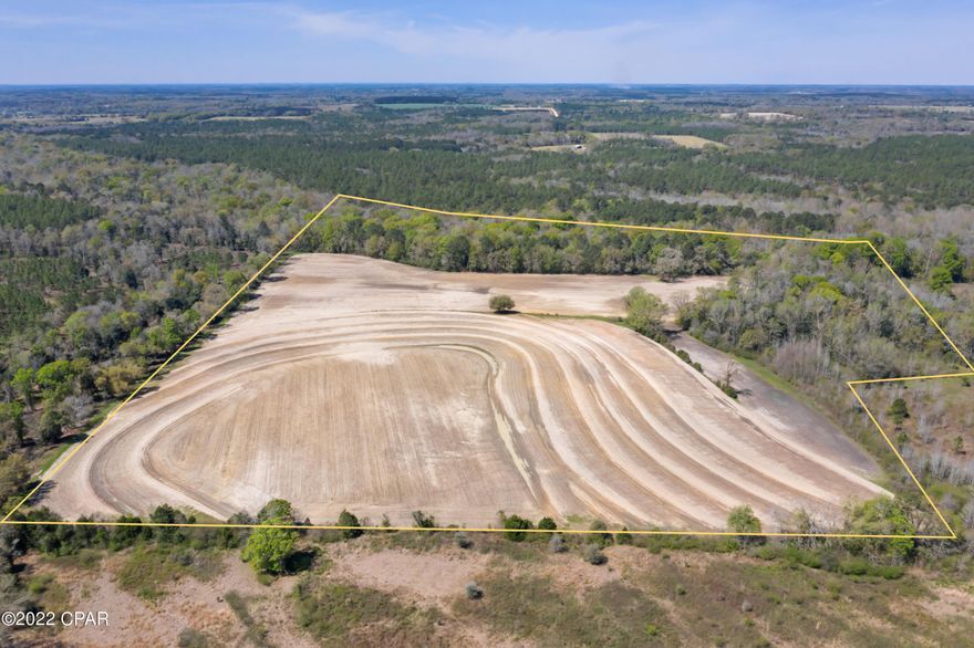 Over 40 acres! The possibilities are endless with this parcel. Property is currently fenced. No restrictions - bring your animals.