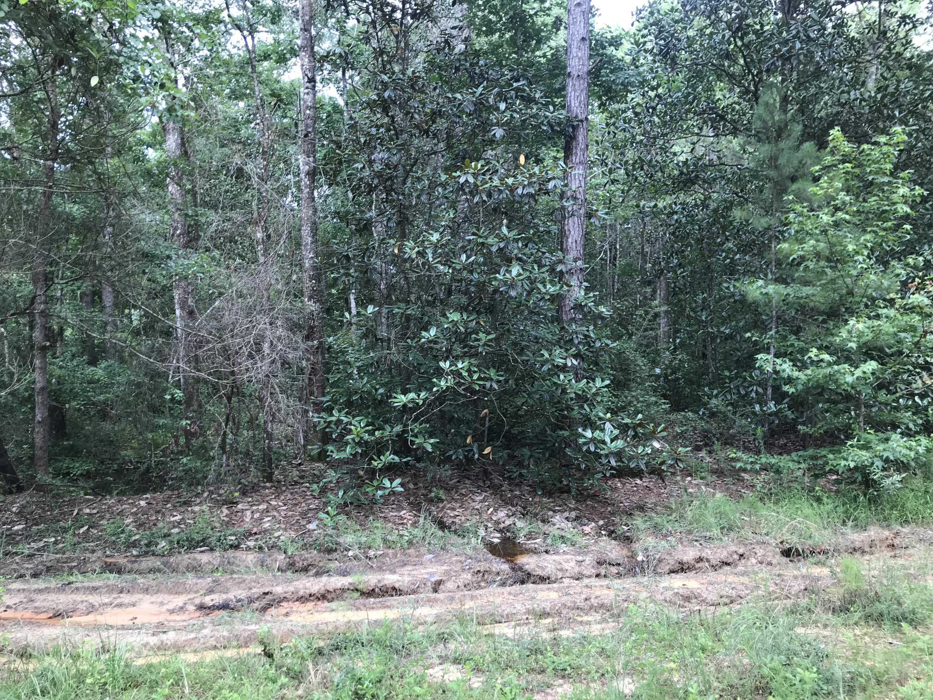 Compass Lake Hills Unit 3 - Land