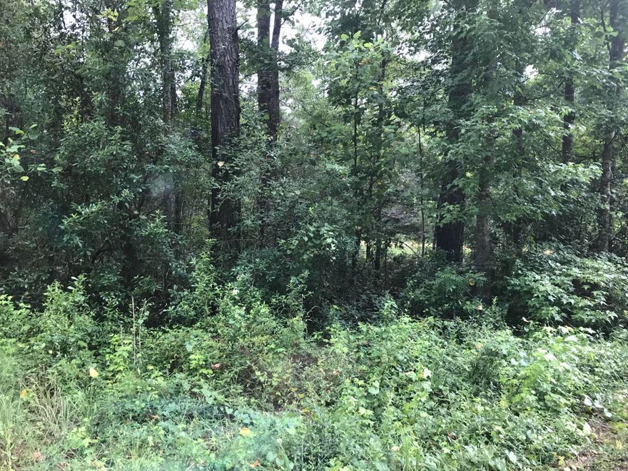 Nice corner lot wooded in CLH.  1.87 acres MOL. excellent hunting in the area. Enjoy all the ammenities that come with ownership of this lot like 2 lake access with boat ramp. Cabin rentals, pool, RV camping lots etc.  Close to Panama City Beach and shopping and restaurants.