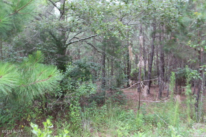 Sherwood Est. - Land