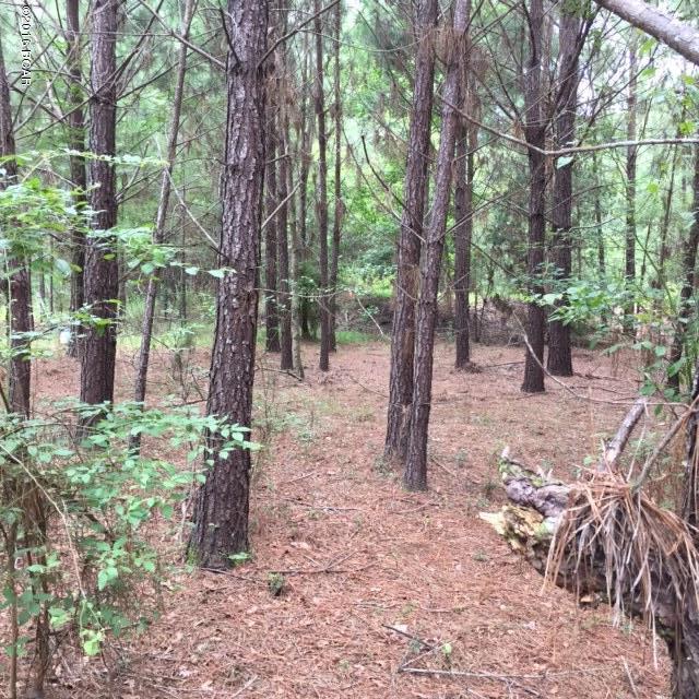 Sherwood Est. - Land