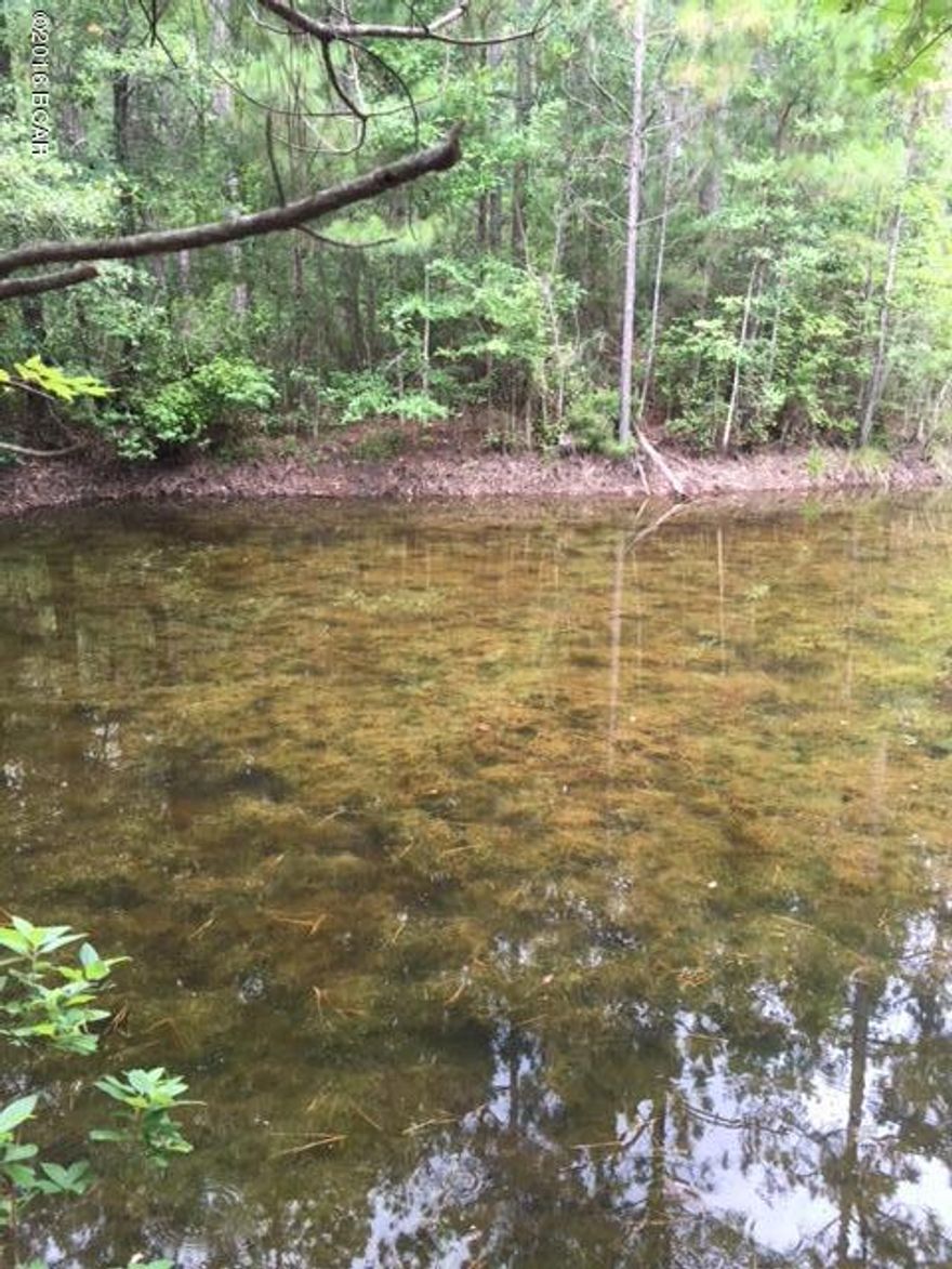 Oversized wooded lot with above ground septic tank and a well on the property.

There is a small pond.  This is a great investment property. The location is on the edge of town in a convenient location.  Copy of survey is attached.