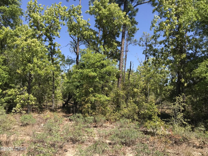 Under Contract, but seller will accept back up offers.  Don't miss this almost 3-acre wooded lot in Chipley.  Located on a well-maintained dirt road this property offers you the perfect chance to build your new home, install a manufactured home or just have a recreational barn.  Zoned Agriculturally this property is a great location for all of your toys, animals, privacy, etc.  Property is wooded and has no utilities so land clearing would be necessary and well, septic tank and power pole would have to be installed.  Go take a look at today!