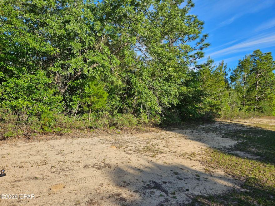 This flat lot is just off Sunny Hills Boulevard, the main entrance to the growing subdivision about 30 minutes from Panama City. There are plenty of recreational activities available including lakes for fishing, swimming, boating and kayaking. Sunny Hills Golf & Country Club offers a playable 18 hole golf course with wide fairways and large greens. The 19th hole offers refreshments and snacks along with a pro shop. Come see why so many people are moving here. Public water is available, the electricity provider is Florida Power & Light, septic system is needed.