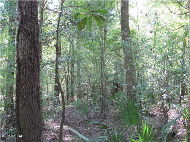 Choctawhatchee River Estates - Land