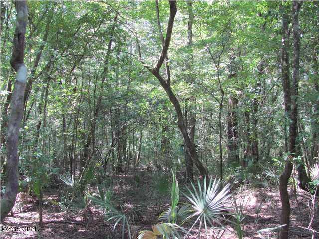 Choctawhatchee River Estates - Land