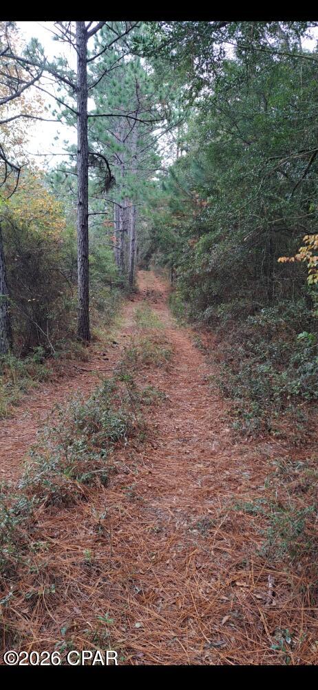 [No Recorded Subdiv] - Land