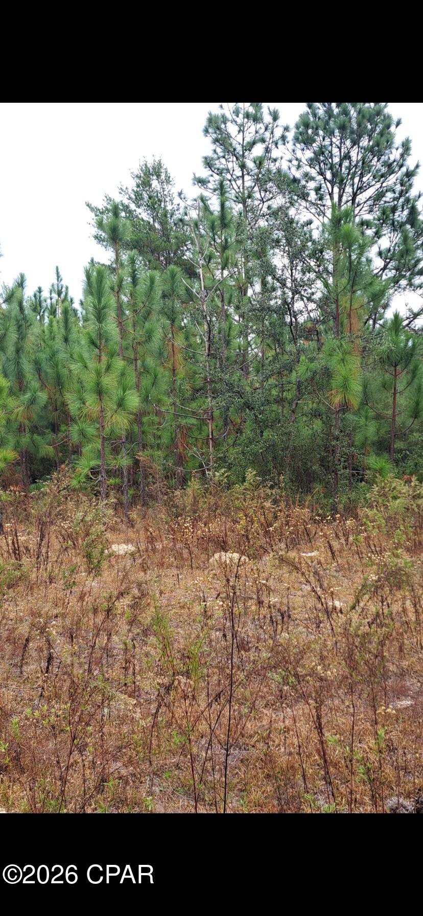 [No Recorded Subdiv] - Land