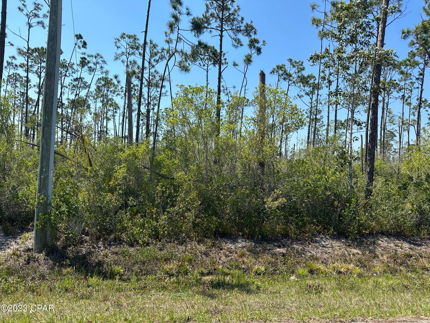 Come and Build your dream home on 1/2 acre wooded lot.  The lot is close to fishing on East Bay, Cooks Bayou, Sandy Creek and Wewa's Dead Lakes for your freshwater fishermen.  Boat launching is available at all these locations.  Property has all paved roads, underground electric but septic tank and water well needed.  Good elevation is 9'.5''.