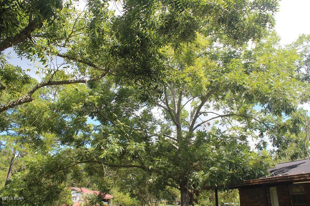 Highland City - Residential