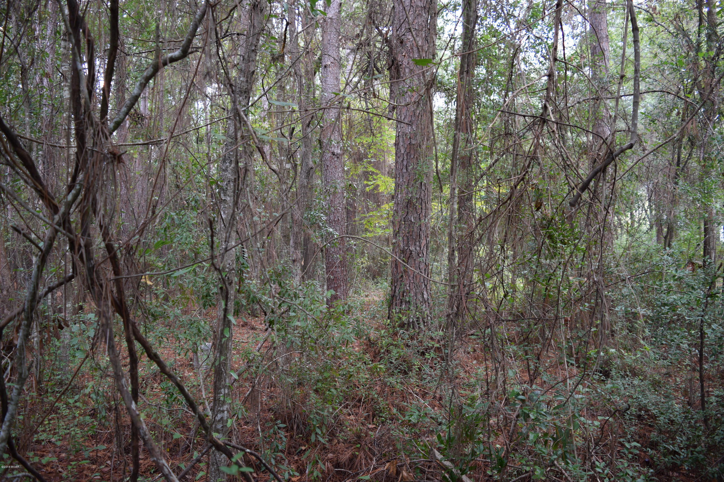 No Named Subdivision - Land