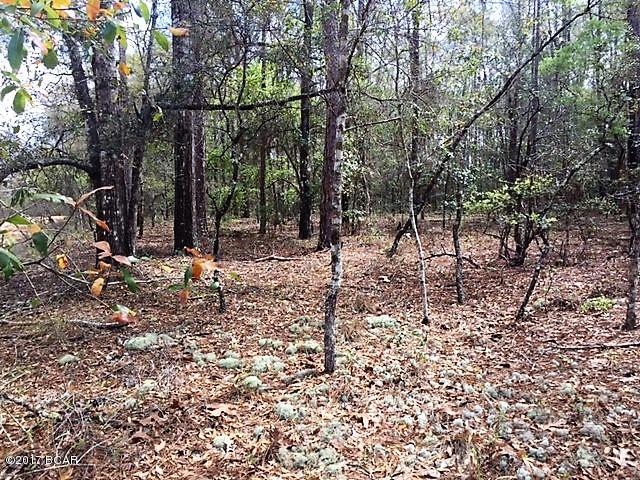 Compass Lake Hills Unit 5 - Land