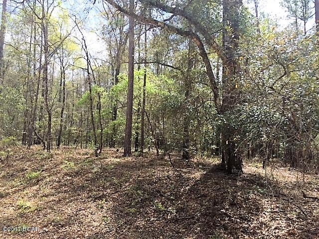 Compass Lake Hills Unit 5 - Land