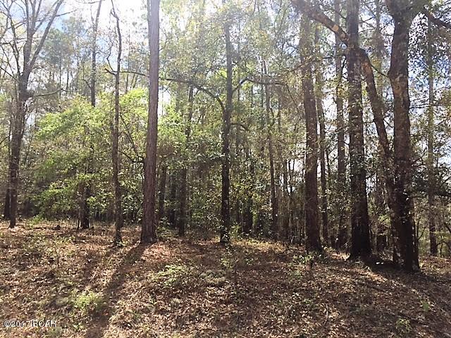 Compass Lake Hills Unit 5 - Land