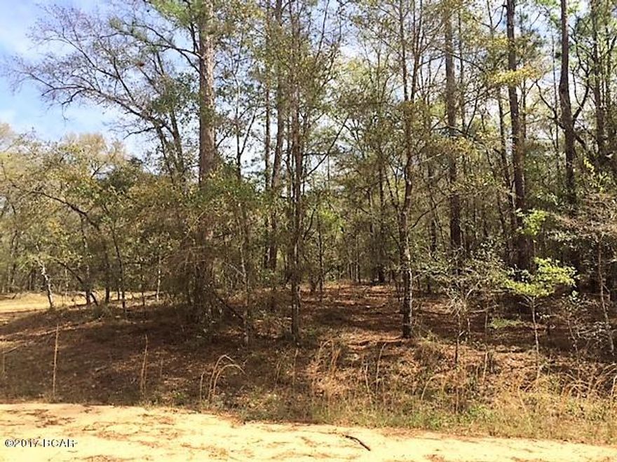 Beautiful corner lot in lovely Compass Lake Hills.  Lot is high and dry and is scattered with beautiful trees native to the area.  With lot ownership you have access to numerous amenities  of Compass Lake Hills that include access to two lakes, horseback riding, golf driving range, club house facilities, RV parking facilities, cabin rentals and much more!  It is only a short drive down to Panama City on the coast that is home to some of the world's most beautiful beaches. $95 MSTU fees are included with annual property taxes.