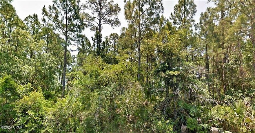 A beautiful vista awaits you with your choice of several lots new to the market overlooking the historical and pristine waters of Indian Lagoon. These lots are a paddleboarder's and kayaker's dream as one can enjoy bird watching, oystering, or shallow in shore fishing. Close proximity to Indian Pass Boat Ramp, Public Beach Access and the famous Indian Pass Raw Bar. Just a short drive to Cape San Blas, Salinas Park, and conveniently located between Port St Joe and Apalachicola. Lots are heavily wooded and have reasonable restrictions. Single family residential use only.