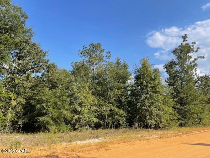 Very nice wooded residential lot in beautiful Compass Lake in the Hills. Lot has nice native trees. Enjoy the peaceful surroundings - lots of wildlife, birds and butterflies in the area.  Deer and wild turkeys frequent this area.  You have easy access north to Marianna for shopping, etc. and south to Panama City on the coast.,   A joyful place to live.
