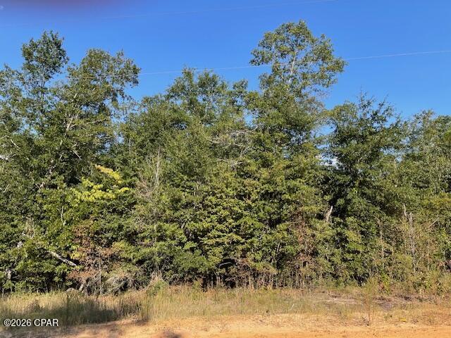 Compass Lake Hills Unit 6 - Land