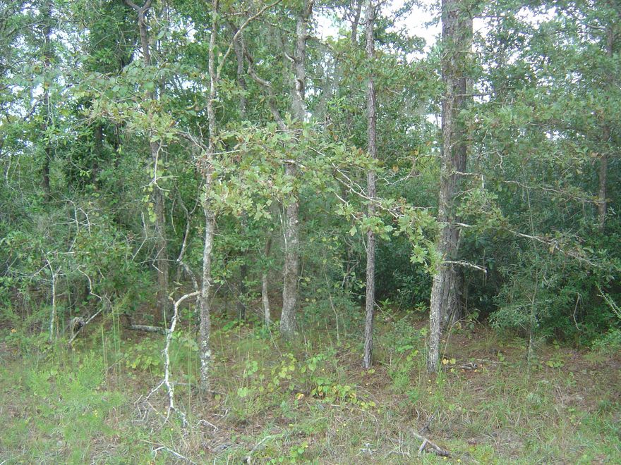 Nice Compass Lake in the Hills lot with all the amenities of CLH.  It is a short distance off the main road of Nortek.  The POA requests a fee of 135 per lot per year to keep up all the amenities but it is not required.