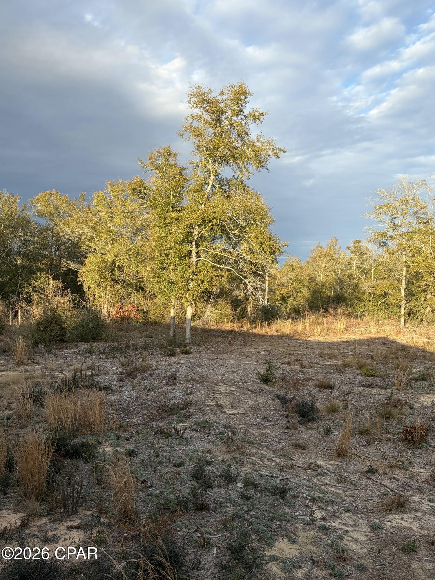 Buckhorn Creek - Residential