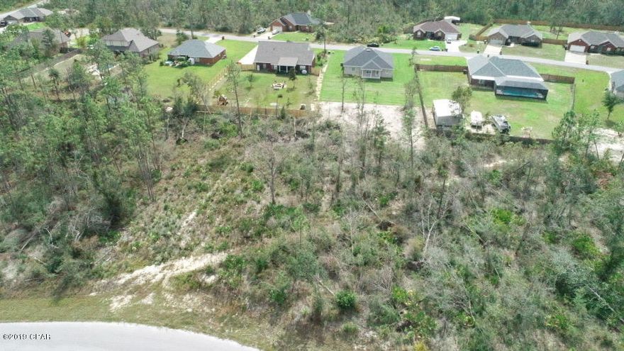 Beautiful partially cleared lot ready for your DREAM HOME! Seller has a survey to provide for buyer, No HOA Fees & this lot is in Flood Zone X, No Flood Insurance Required