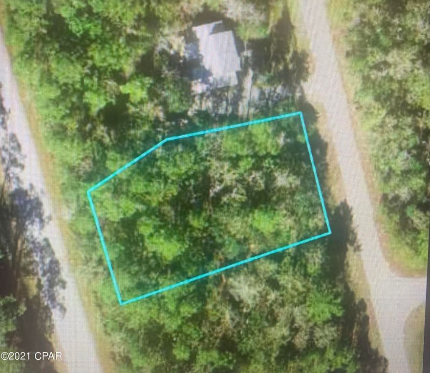 Nice half acre lot at Villages of St. Marks- This is a residential building lot in a nice quite neighborhood with sewer, city water, underground utilities, street lights, and more! This neighborhood is close to restaurants, boating, fishing, bike trails and​​‌​​​​‌​‌​​​​‌​​‌​​​​‌‌ park.