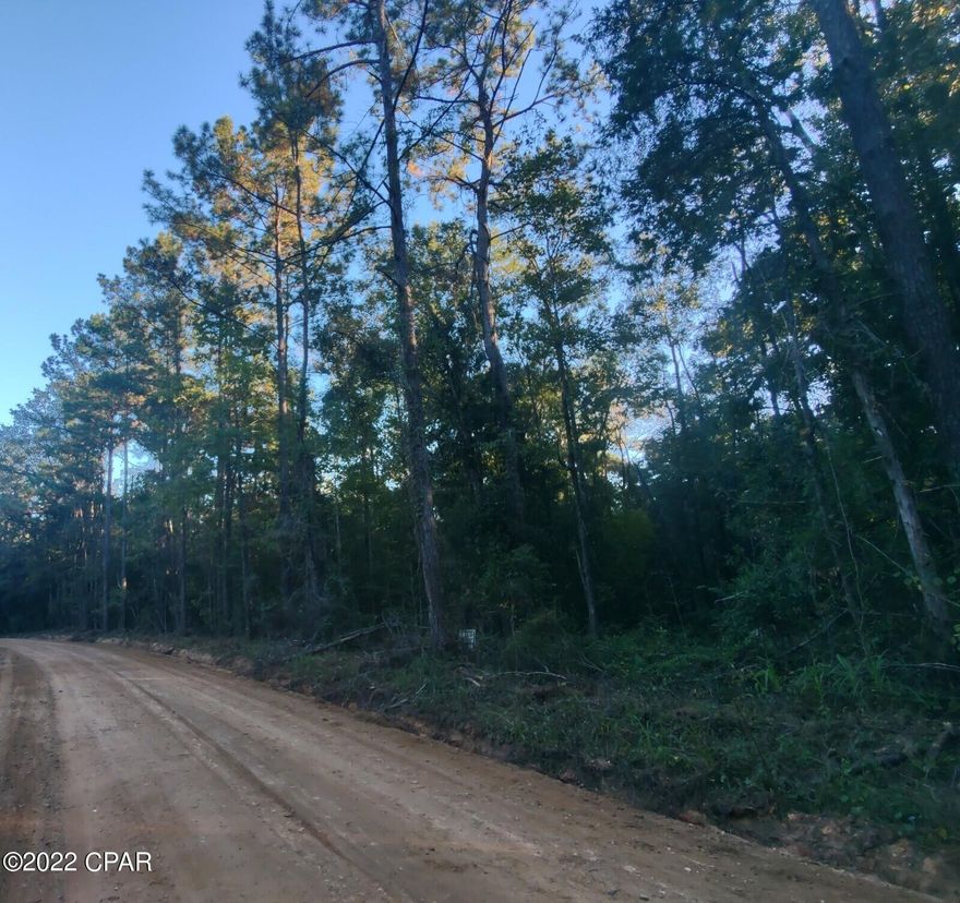 CURRENTLY UNDER CONTRACT, SELLER WILL CONSIDER BACKUP OFFERS   9.73 acres on Hwy 81. Build your dream home.