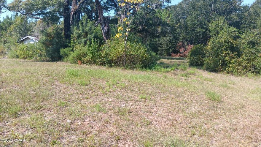 Welcome to your future oasis! This expansive 28-acre parcel of land offers a world of possibilities, whether you're dreaming of a serene homesite, a weekend camping retreat, or development opportunity. Electric and septic hook up available.  Mobile home could offer the perfect ''get-away'' cottage with some TLC. Parcel is mostly dry with small pond in rare of property and located less than 35 miles from one of the world's most beautiful beaches. Adjacent 10 acre parcel is available for sale. Contact agent for showing.