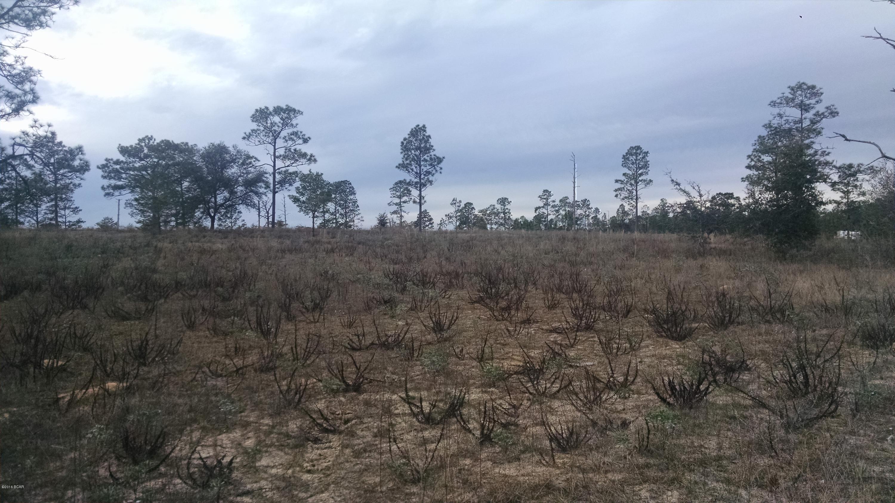 Rolling Pines - Land