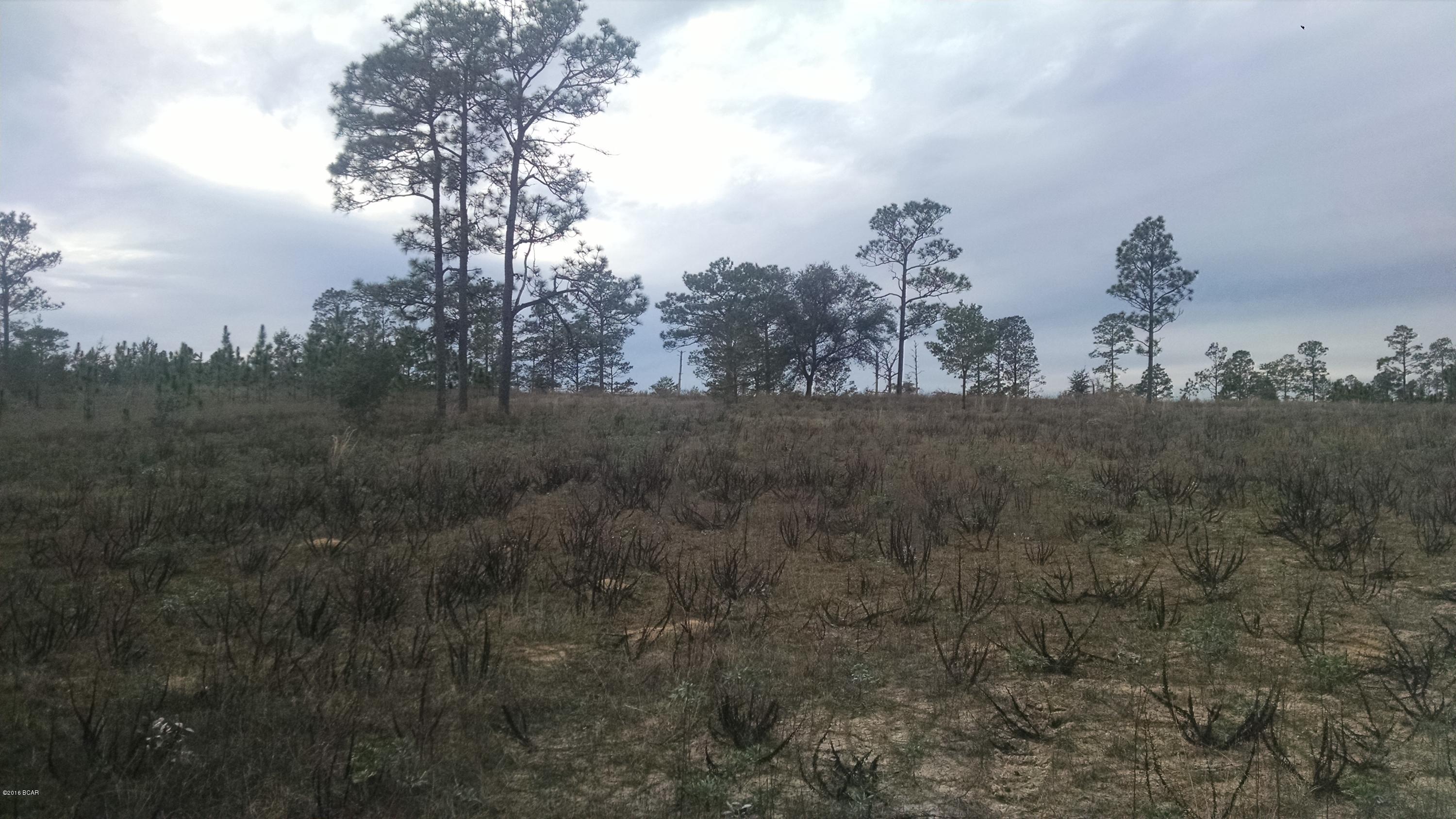 Rolling Pines - Land