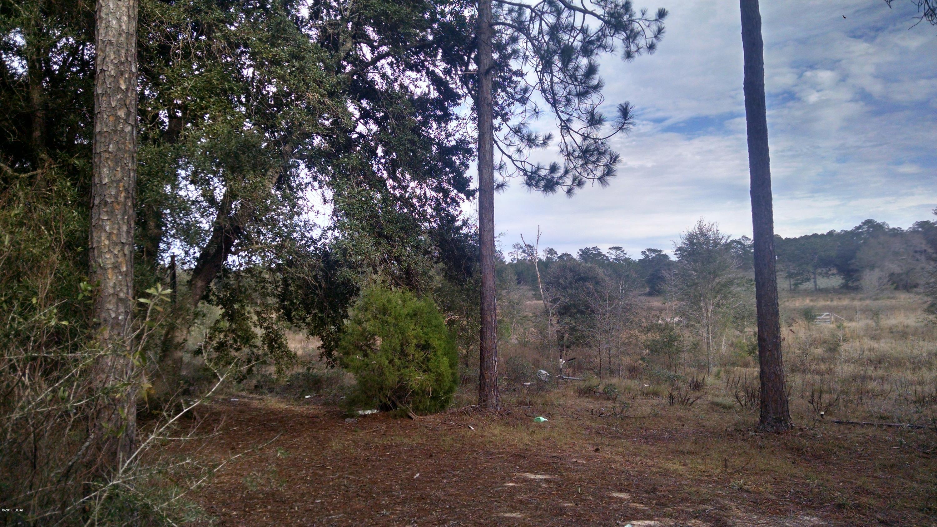 Rolling Pines - Land