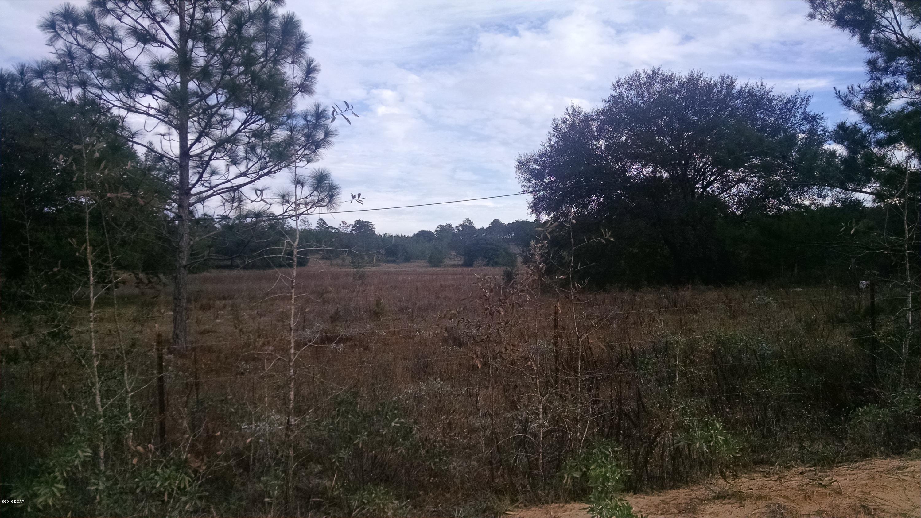 Rolling Pines - Land