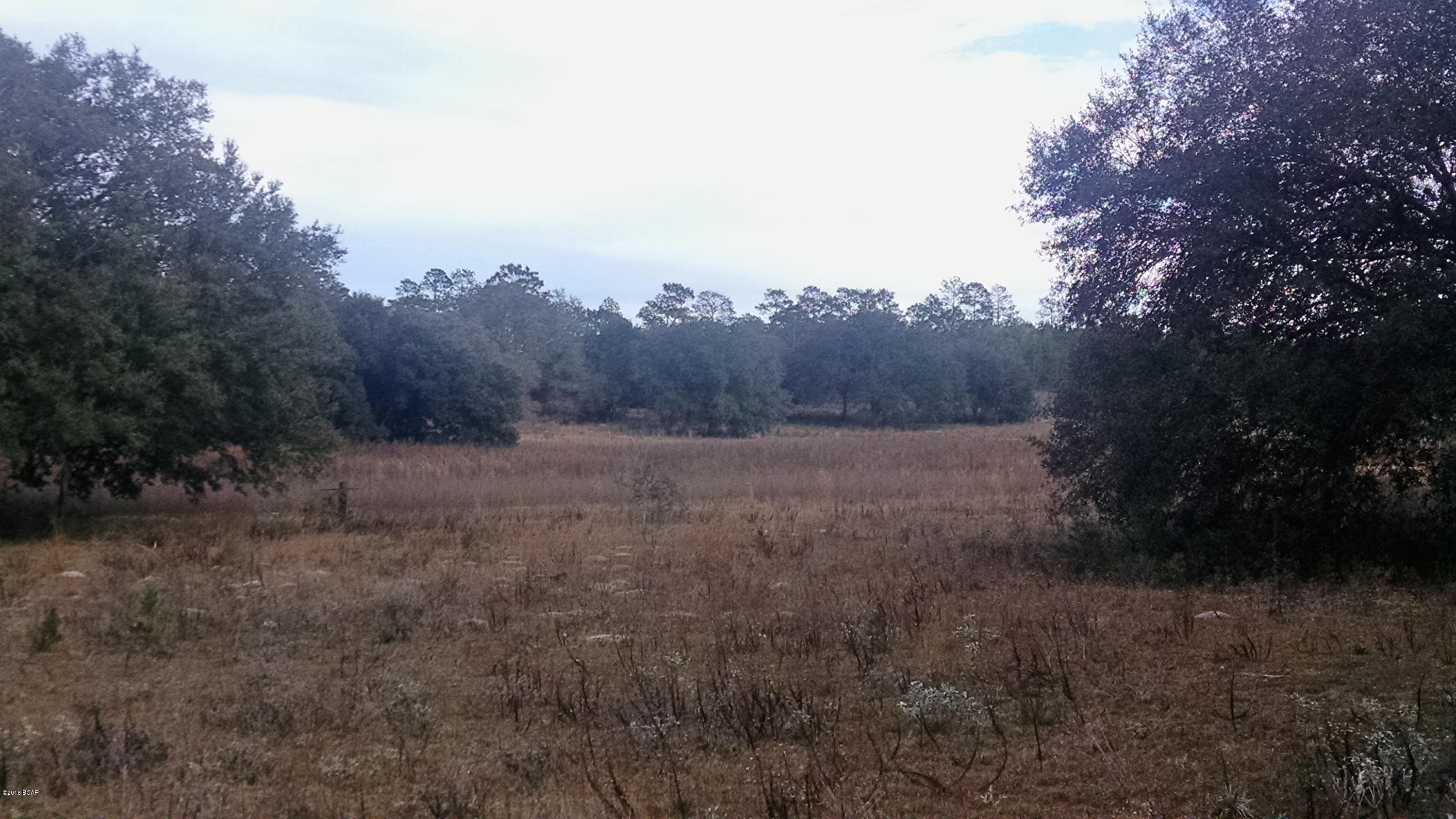 Rolling Pines - Land