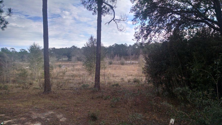 Owner financing with $6000 down.  Enjoy country living on 45 acres which is perfect  for your homesite, farming, cows and horses.  This property located in Rolling Pines provides you with quiet and peaceful living but is conveniently located off Hwy 77. Well and septic located on the property however no warranties are being given as to the condition.   Located approximately 15 miles from Lynn Haven. Seller is offering owner financing. Call your realtor today for details. All information contained herein is intended to be correct, however buyer assumes complete responsibility for verification of all information.