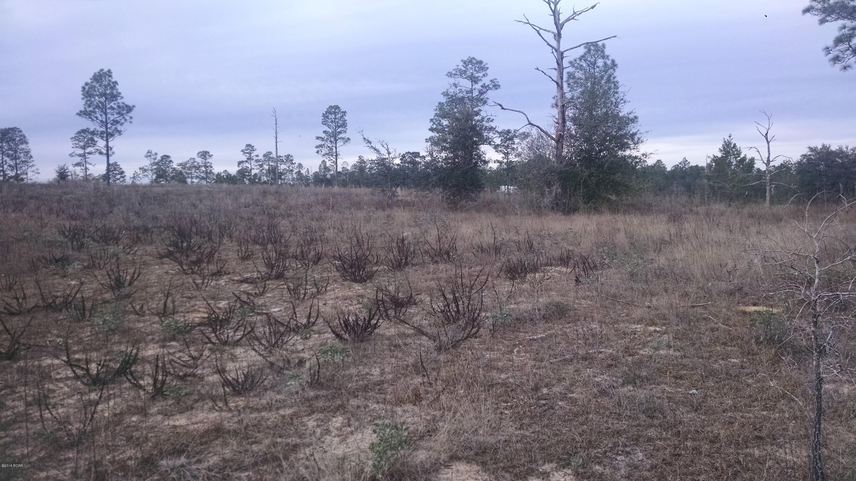 Rolling Pines - Land