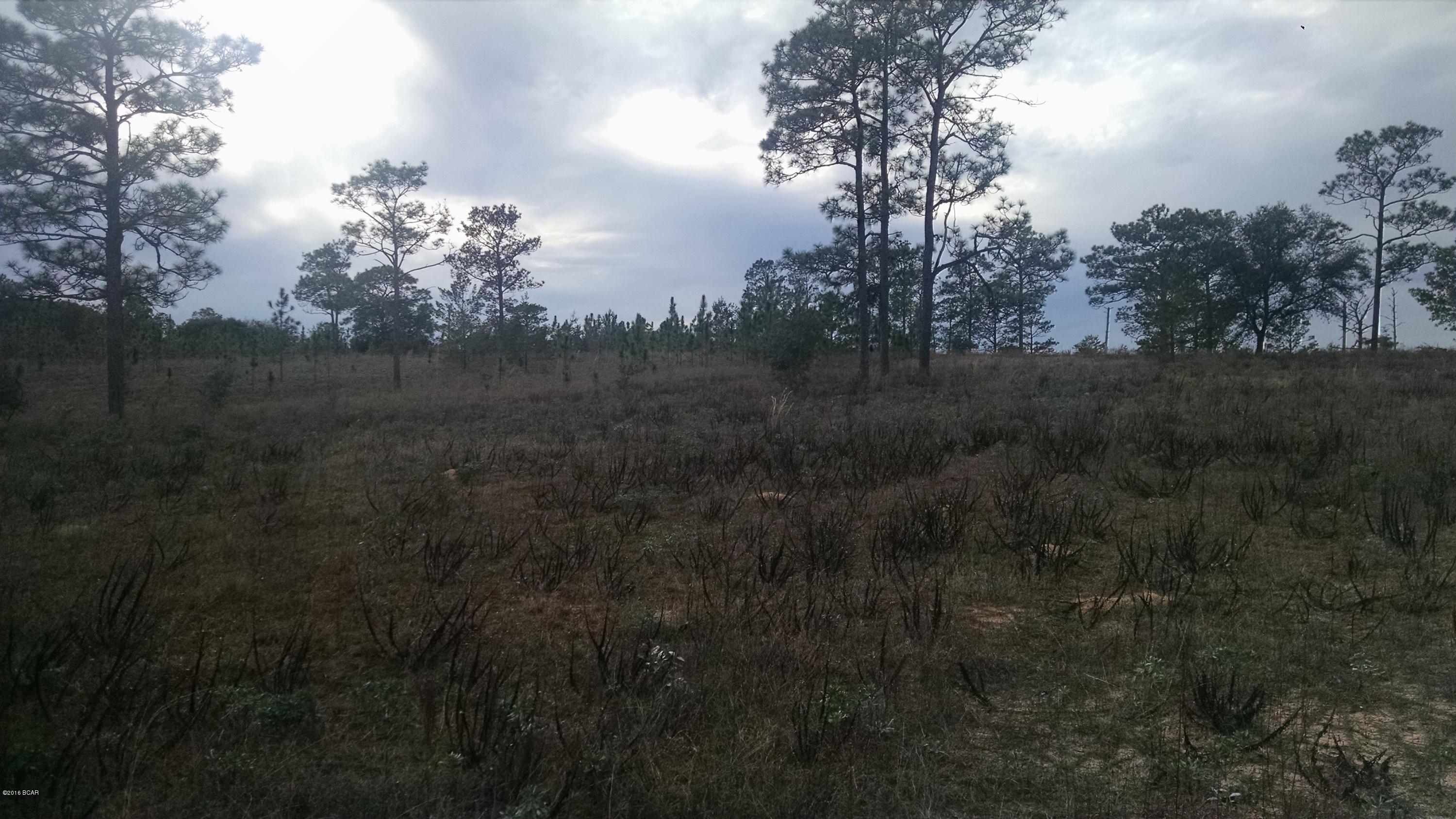 Rolling Pines - Land