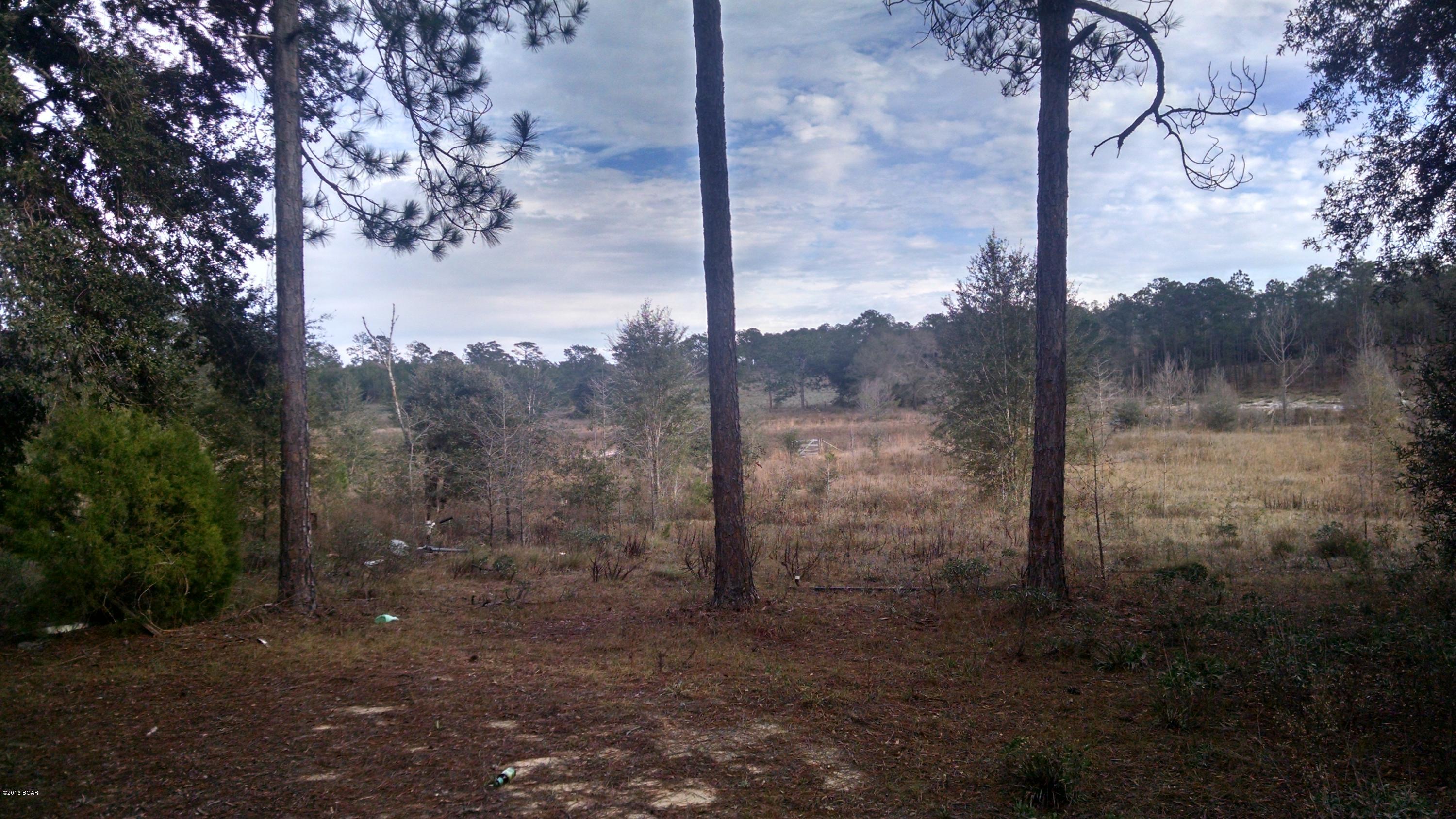 Rolling Pines - Land