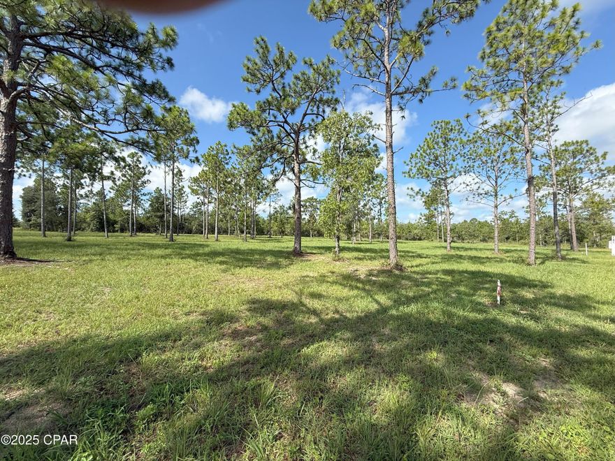 OWNER FINANCING AVAILABLE!  This cleared corner lot is approx. 1.28 acres with beautiful trees left for your yard! With the purchase of this lot you have access to Silver Lake, a private lake that is known to be the 5th clearest body of water in the State of Florida! This property is centrally located but provides peace and tranquility that is hard to find. This is a corner lot, so you have access from Lake Road which  or Petty Road. Owning this property, you'll  have over an acre to build your new home or an investment property that you may build and rent. The options are there! Please see the video footage for an overview of the property and  proximity to the lake. The neighboring lot is for sale as well, if you want more land!