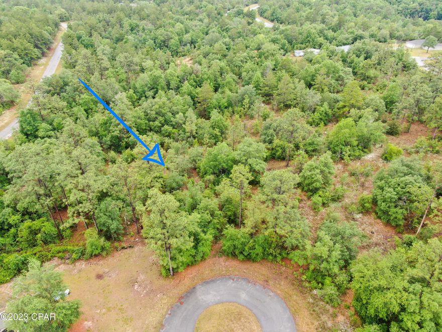 Looking for a great cul-de-sac lot in Sunny Hills?  Well, you found it!  This one is over a third of an acre and ready for your new home or investment property.  Sunny Hills is located off Hwy 77 between I-10 and Lynn Haven.  It offers fishing, boating, and golf among other amenities.  Sunny Hills development is about to explode, so get in while you can.