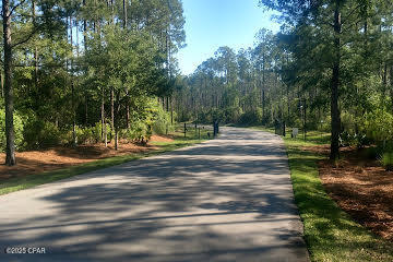 Cedar Creek At Deerpoint Lake - Land