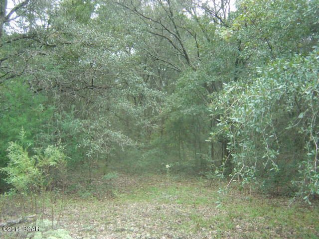 Compass Lake Hills Unit 6 - Land