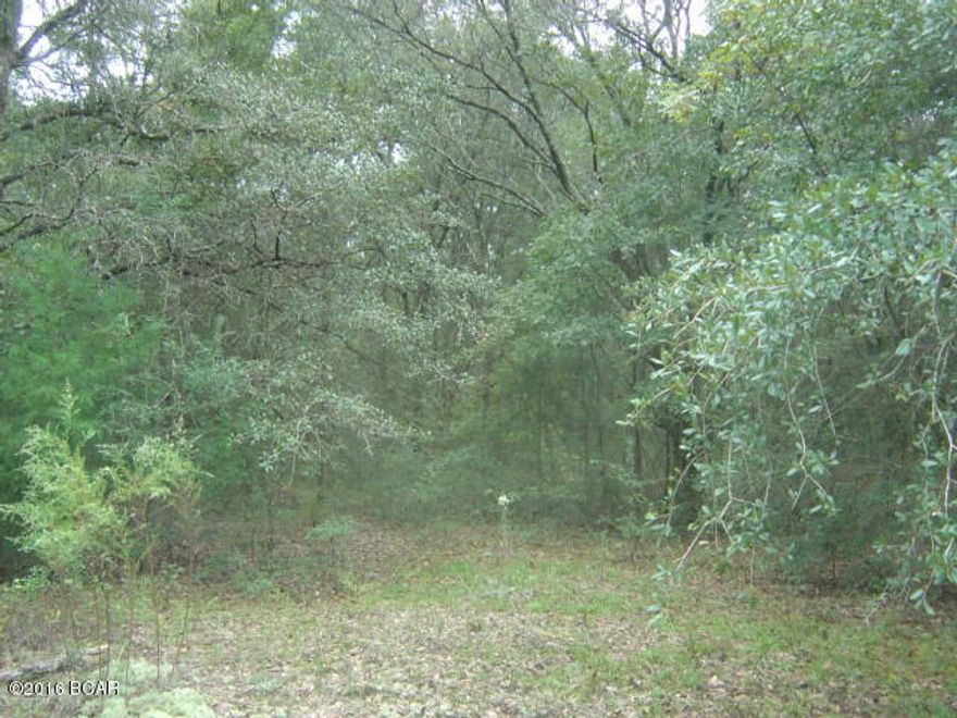 Great property with all the amenities of Compass Lake in the Hills, including pool, beach area, tennis and others.