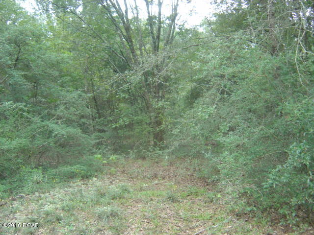 Compass Lake Hills Unit 6 - Land