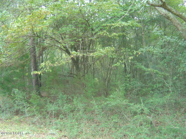 Compass Lake Hills Unit 6 - Land